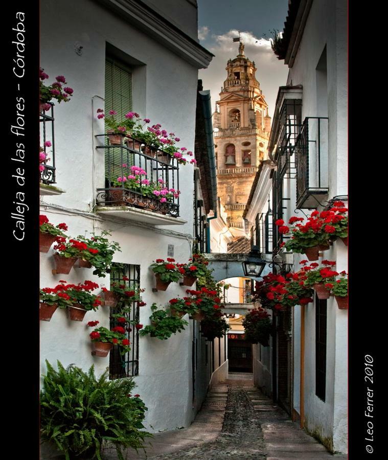 Luxury Viana Apartments Córdoba Exterior foto